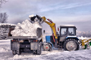 Snow Shield 2000