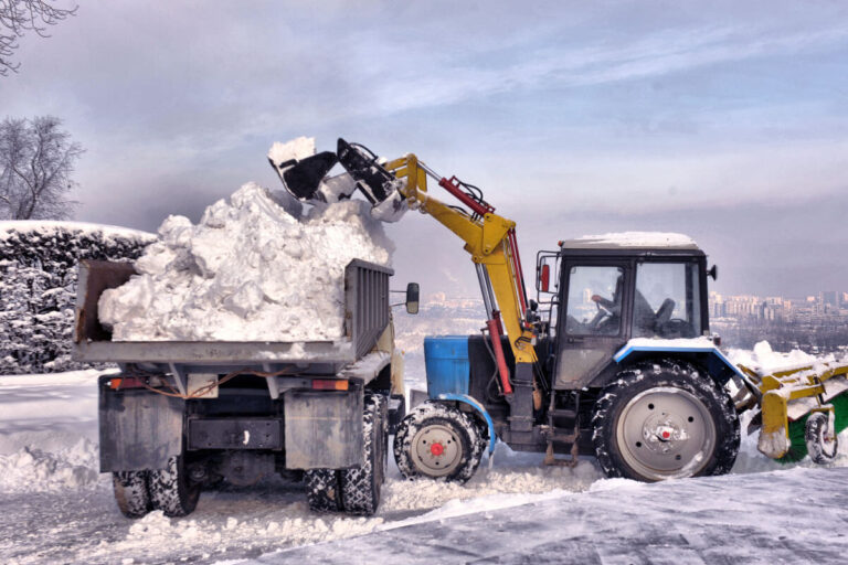 Snow Shield 2000